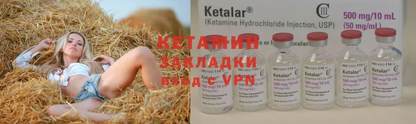крисы Аркадак